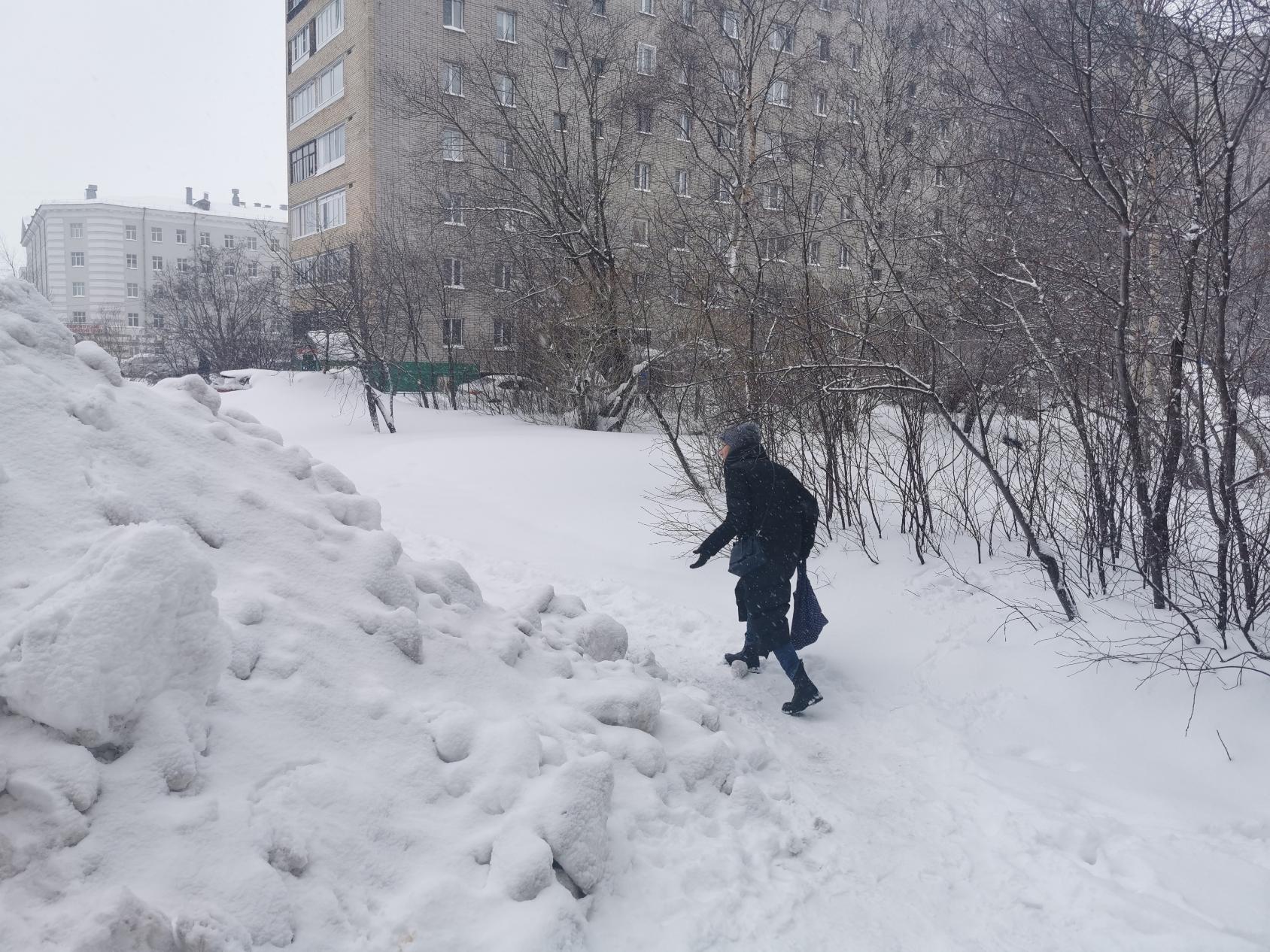 Год назад управляющие компании могли бесплатно вывозить снег со дворов на полигон. В этом году - 110 рублей за тонну. 